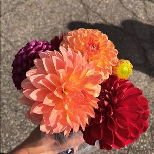 Meet your Posher, Patricia